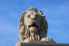 Széchenyi Chain bridge - Lion statue