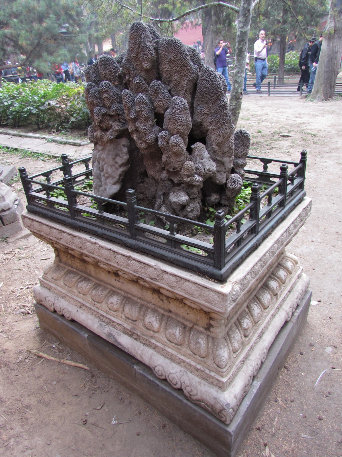 Beijing - Forbidden City - Imperial garden