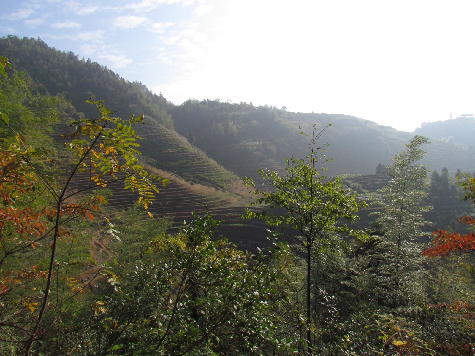 Longsheng - Longji rice terraces