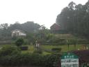 Songmingshanzhuang Tea Village