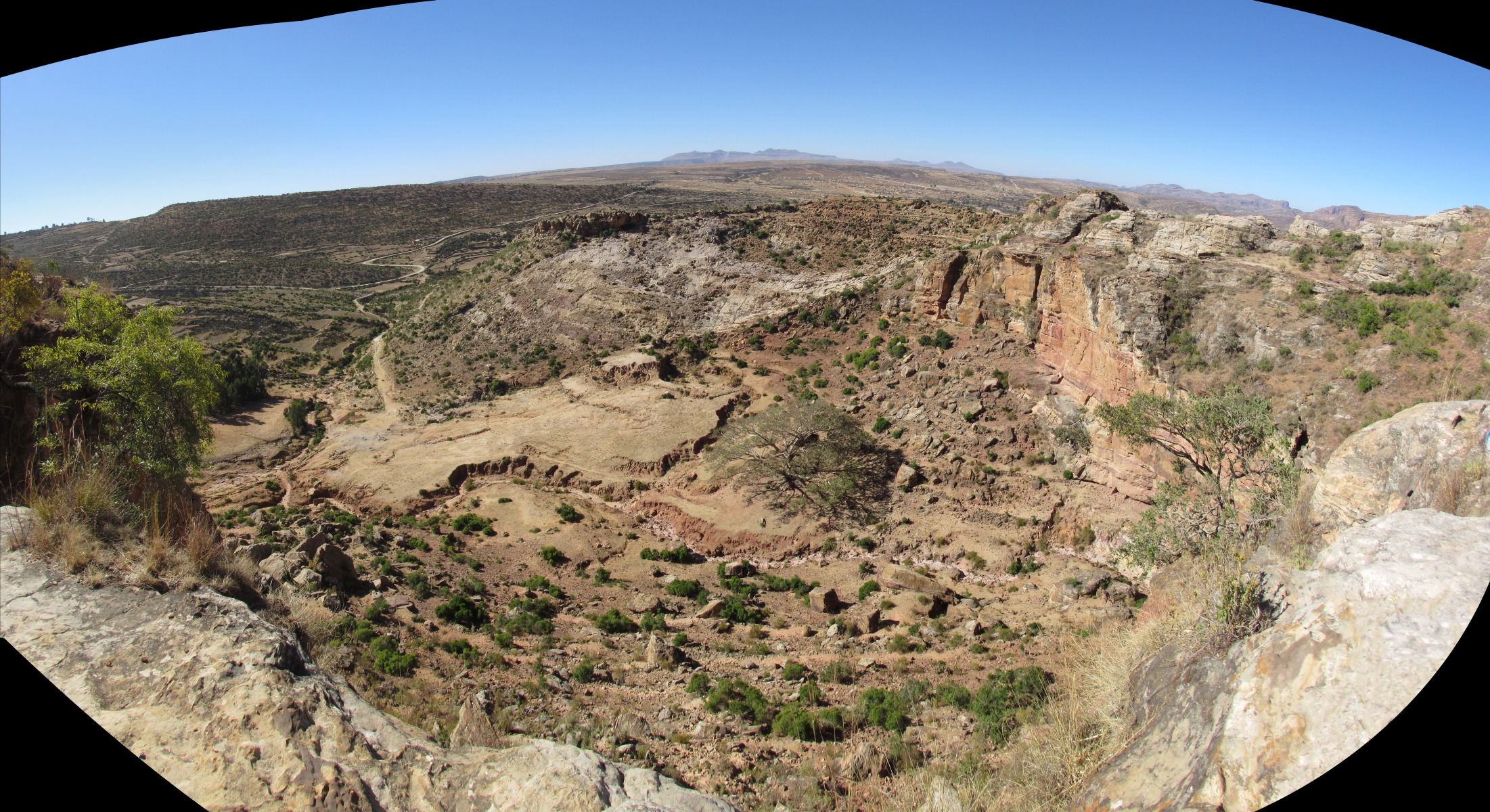 From Debre Tsion