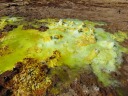 Danakil depression - Dallol