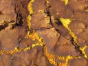 Danakil depression - Dallol