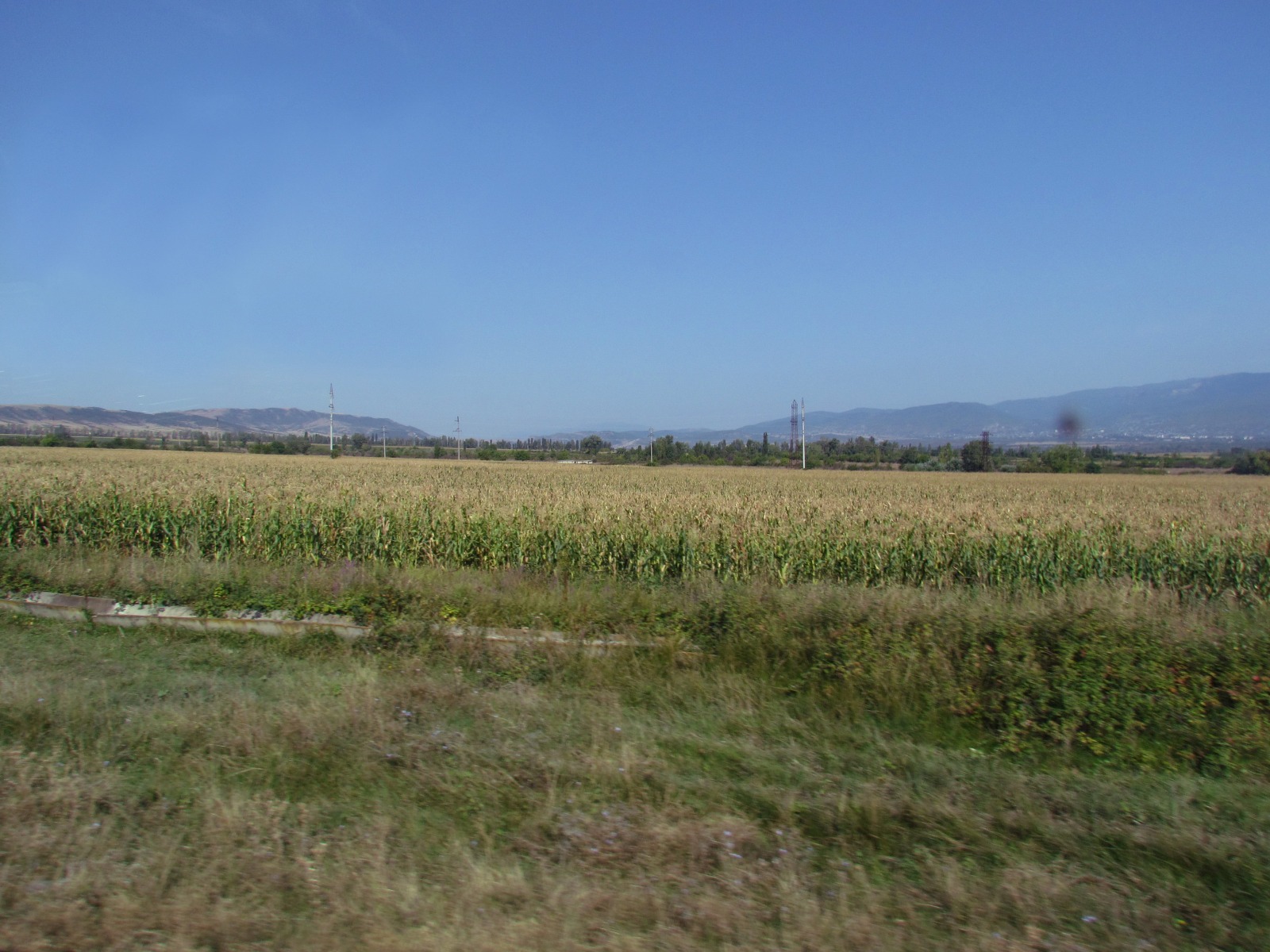 Near Sagarejo