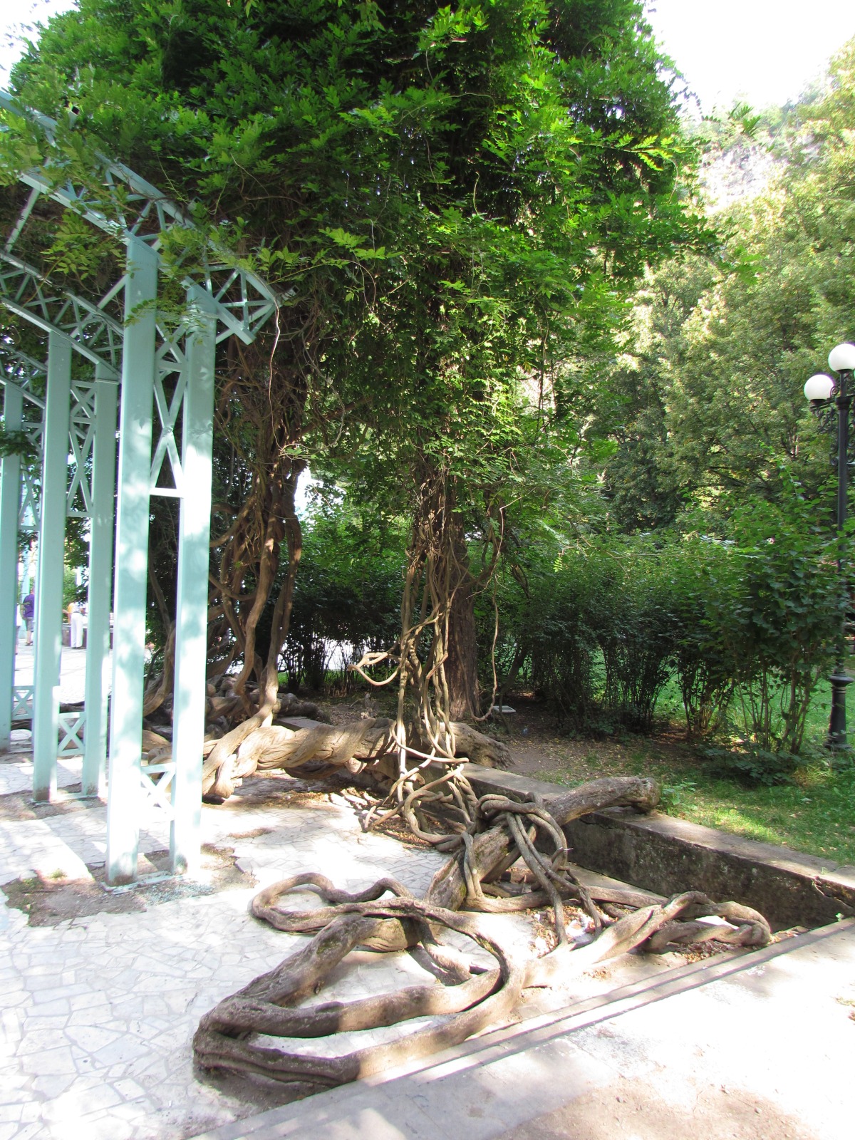 Borjomi - Park