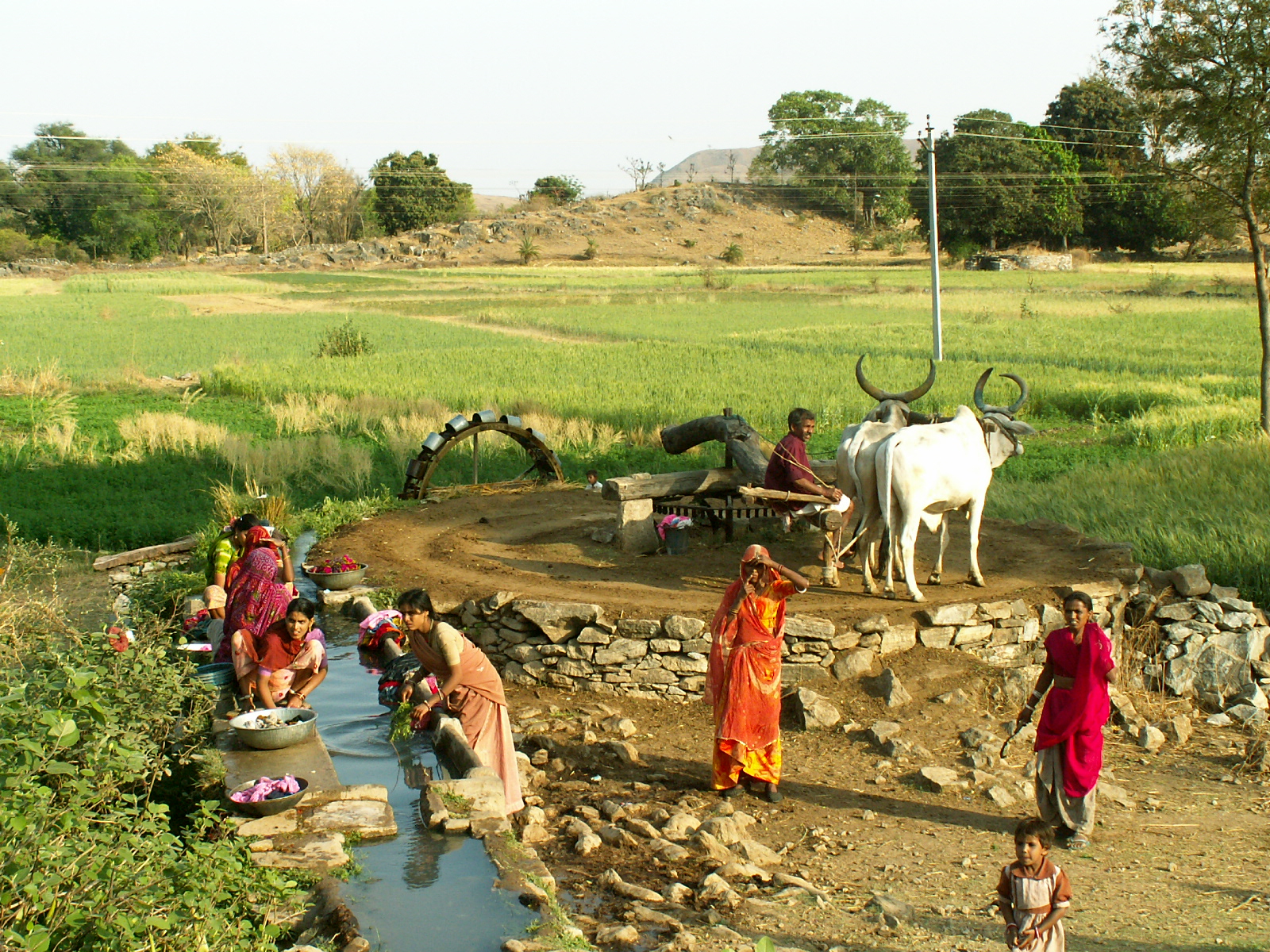 Near Udaipur