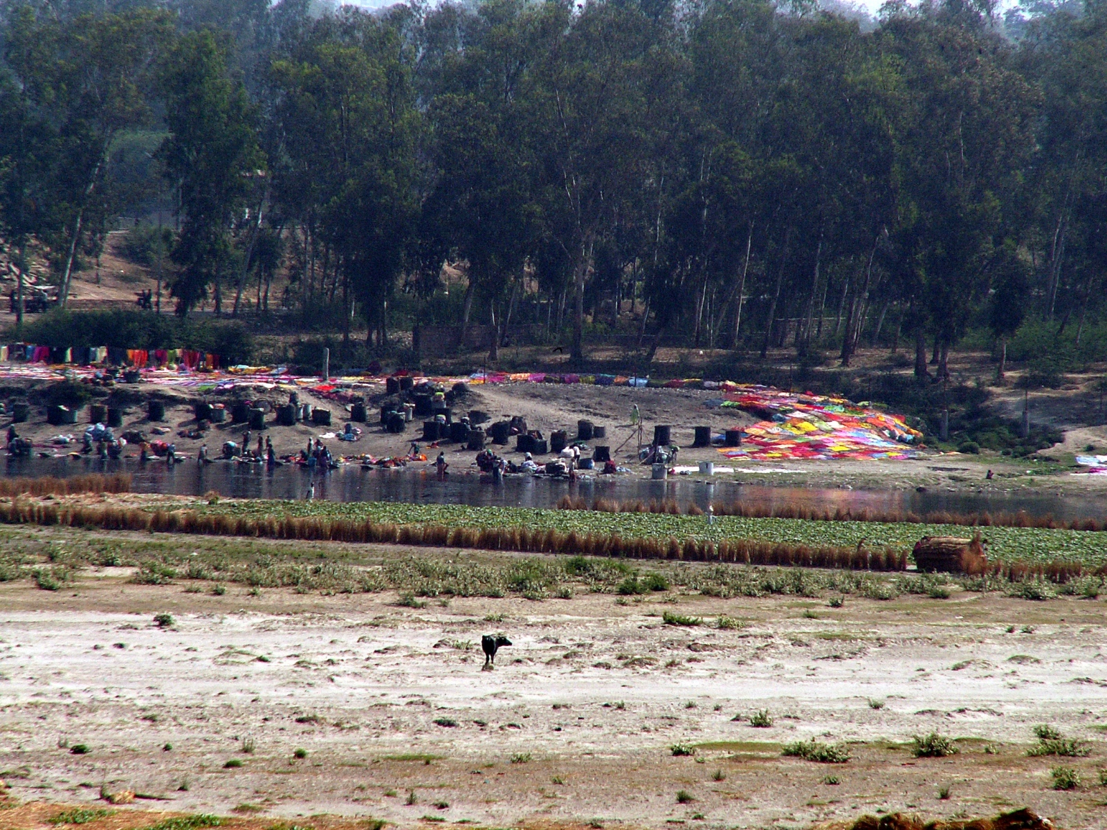 Agra - Yamuna River - Drying up sarees