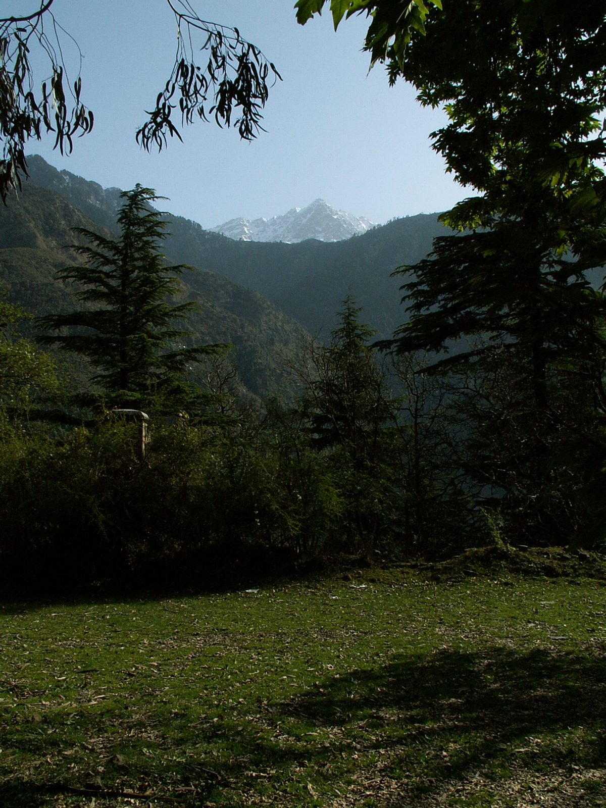 Near McLeod Ganj