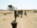 Near Bikaner - Camel safari