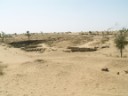 Near Bikaner