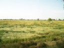 Punjab