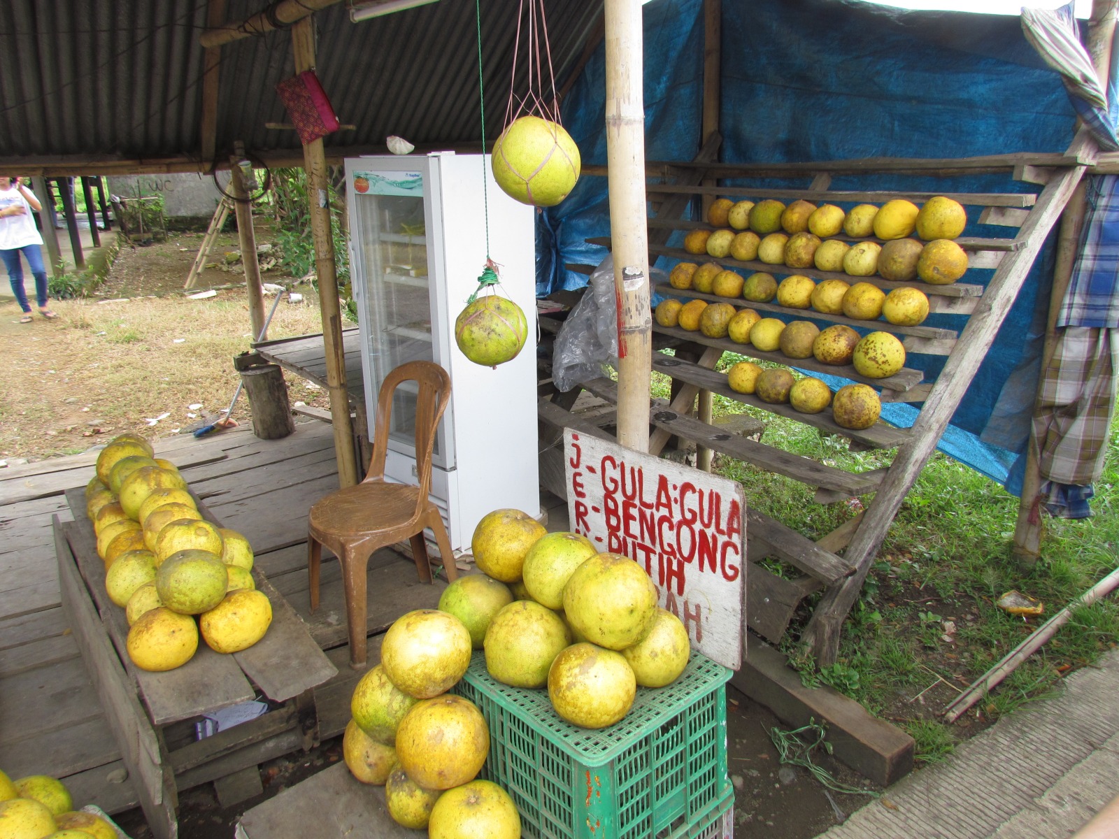 From Makassar to Barru - Pomelo fruits