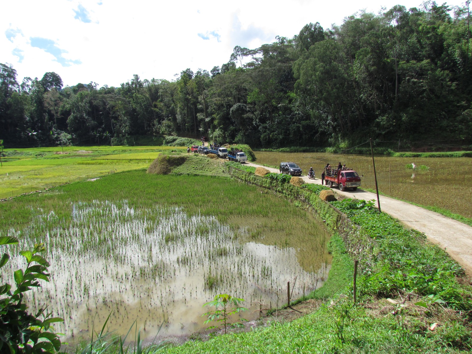 Toraja - Lemo - To burial ceremony