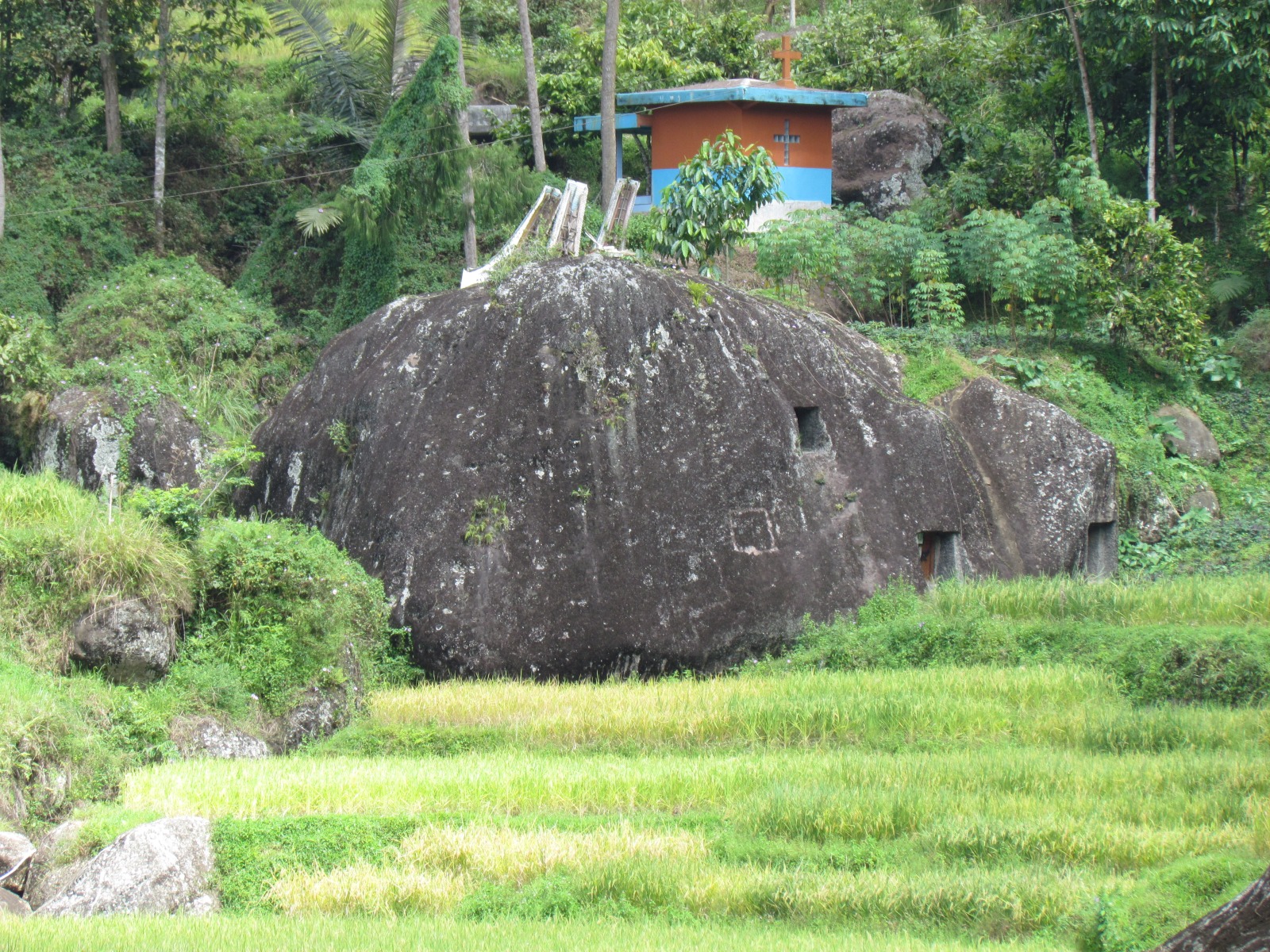 Toraja - Rice fields