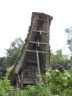 Toraja - Lemo - Tongkonan