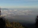 Bromo