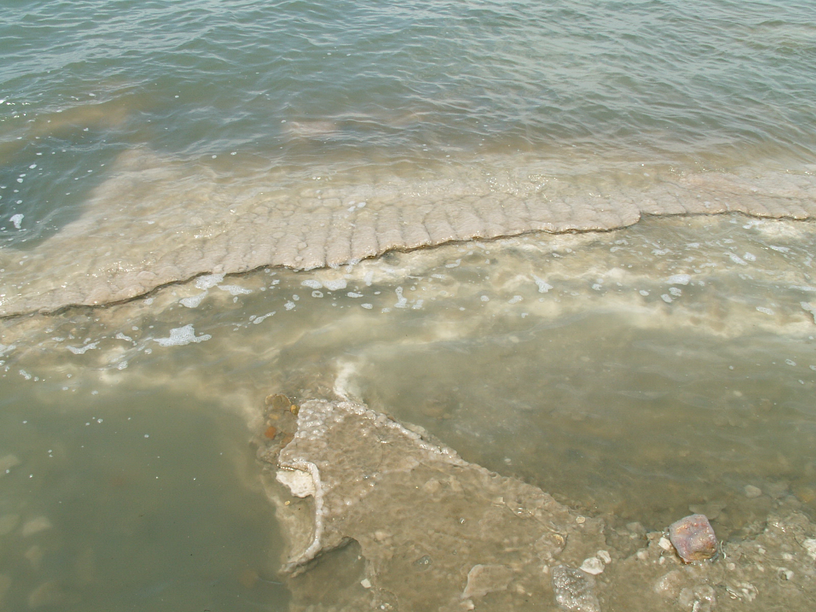 Dead sea - Salt crystals