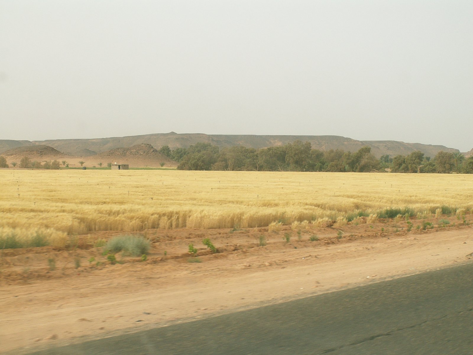 To Tekerkiba