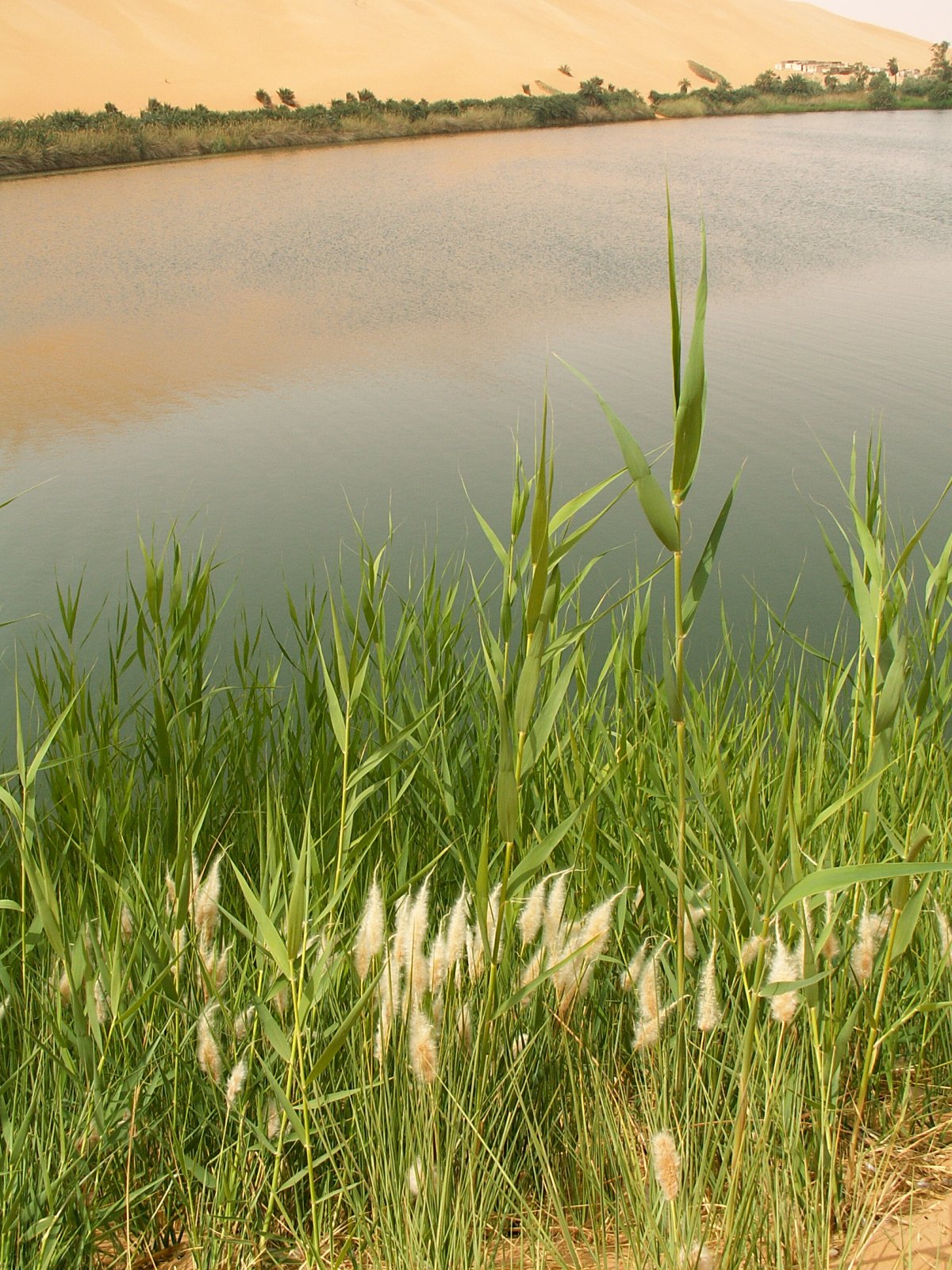 Ubari Lakes - Gebraoun