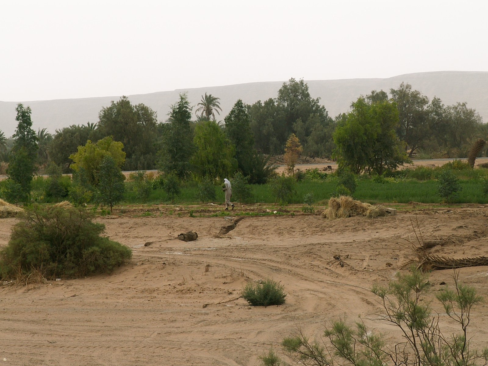 Germa
