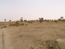 Germa - Garama