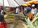 Antananarivo - Food market - Cutting sugar cane
