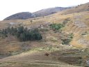 Near Fianarantsoa - Rice fields