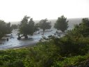 Road to Ifaty - Mangroves