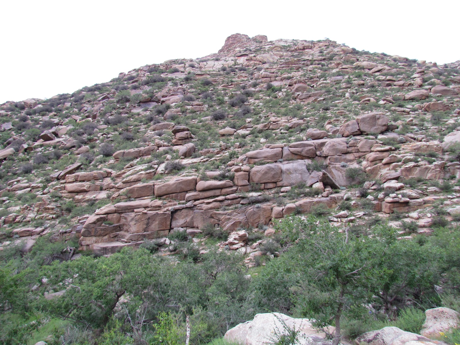 Khogno Khan national park
