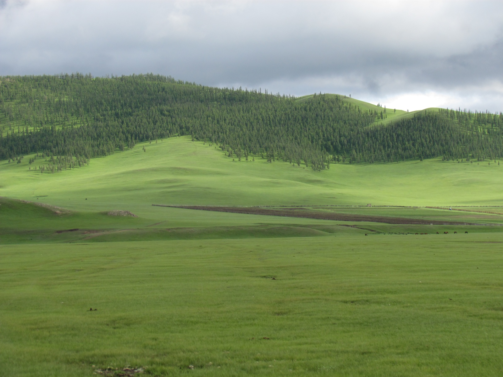Near Tsetserleg