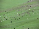 Near Tsetserleg