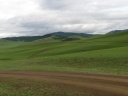 Near Tsetserleg