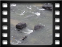 Near Khorgo - Canyon on Chuluut River