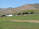 Near Terkhiin Tsagaan Lake - Livestock winter shelters