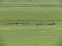 Near Terkhiin Tsagaan Lake - Fence