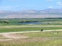 Near Murun - Delgermoron river