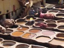 Fes - Old medina - Tannery shop