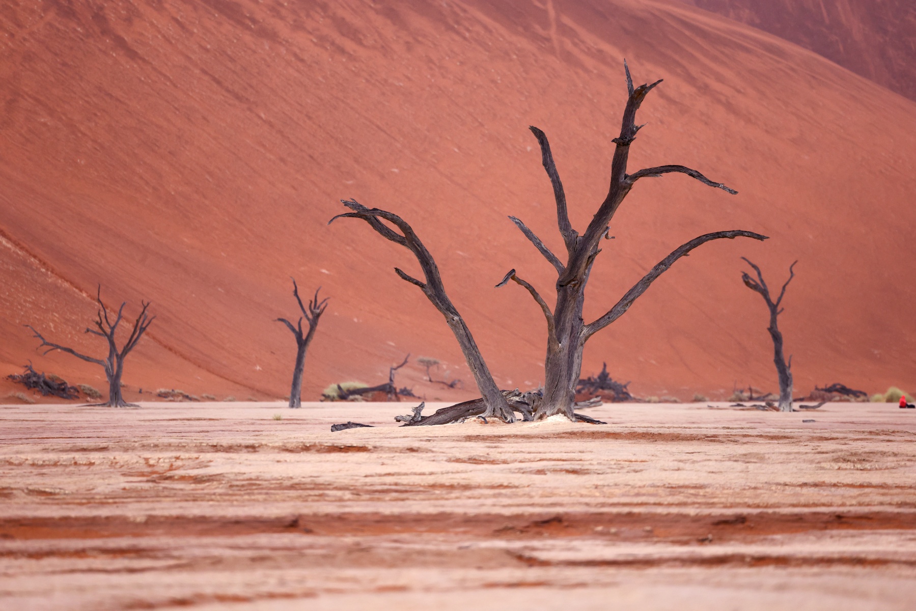 Deadvlei