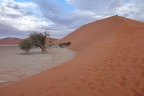 Sossusvlei - Dune 45