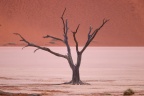 Deadvlei