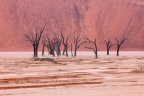 Namibia