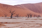 Deadvlei