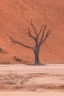 Deadvlei