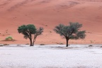 Deadvlei