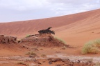 Deadvlei