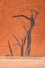 Deadvlei