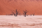 Deadvlei