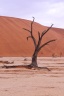 Deadvlei
