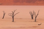 Deadvlei