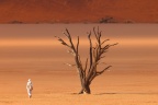Deadvlei